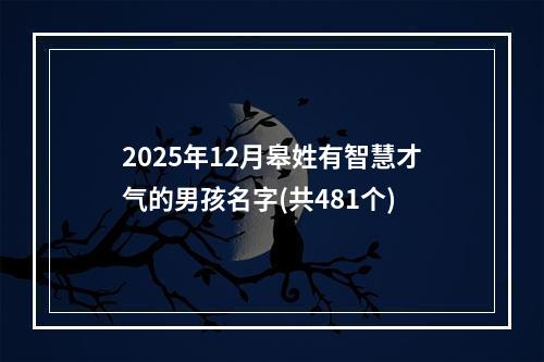 2025年12月皋姓有智慧才气的男孩名字(共481个)