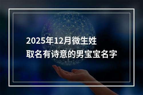 2025年12月微生姓取名有诗意的男宝宝名字