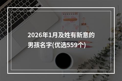 2026年1月及姓有新意的男孩名字(优选559个)
