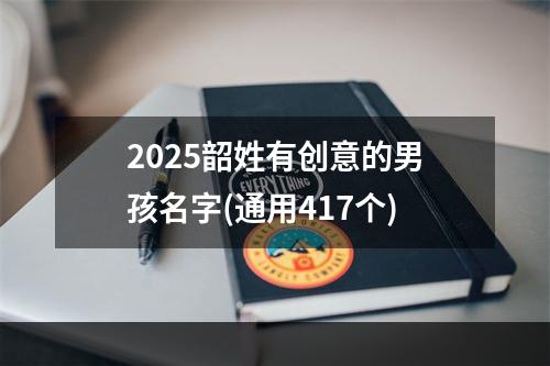 2025韶姓有创意的男孩名字(通用417个)