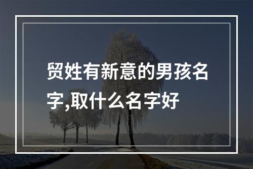 贸姓有新意的男孩名字,取什么名字好