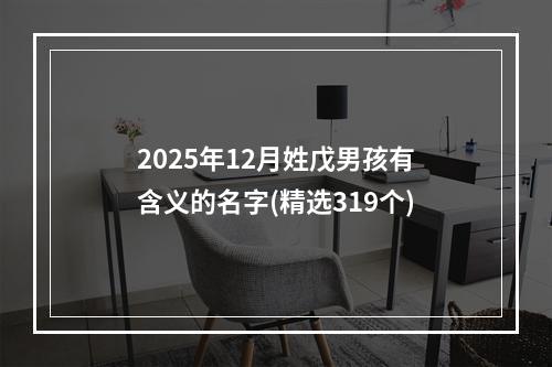 2025年12月姓戊男孩有含义的名字(精选319个)