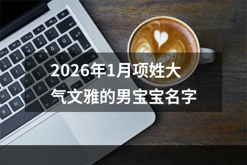 2026年1月项姓大气文雅的男宝宝名字