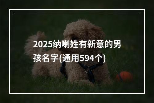 2025纳喇姓有新意的男孩名字(通用594个)