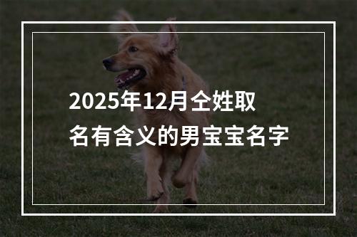 2025年12月仝姓取名有含义的男宝宝名字