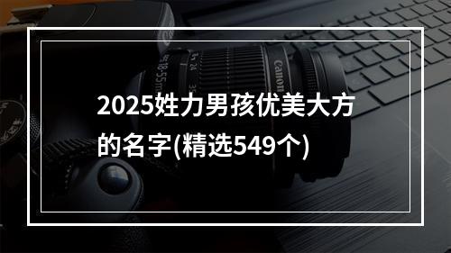 2025姓力男孩优美大方的名字(精选549个)