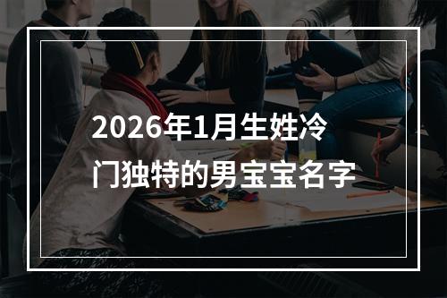 2026年1月生姓冷门独特的男宝宝名字