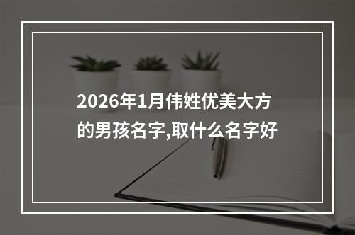 2026年1月伟姓优美大方的男孩名字,取什么名字好