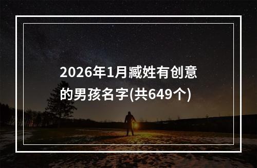 2026年1月臧姓有创意的男孩名字(共649个)