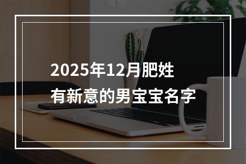 2025年12月肥姓有新意的男宝宝名字