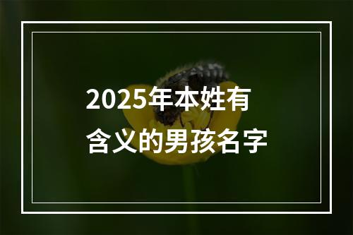 2025年本姓有含义的男孩名字