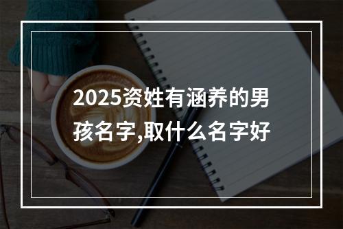 2025资姓有涵养的男孩名字,取什么名字好