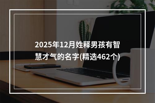 2025年12月姓释男孩有智慧才气的名字(精选462个)