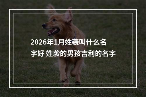 2026年1月姓袭叫什么名字好 姓袭的男孩吉利的名字