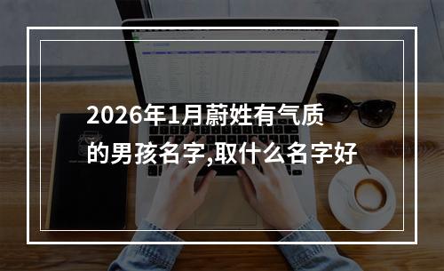2026年1月蔚姓有气质的男孩名字,取什么名字好