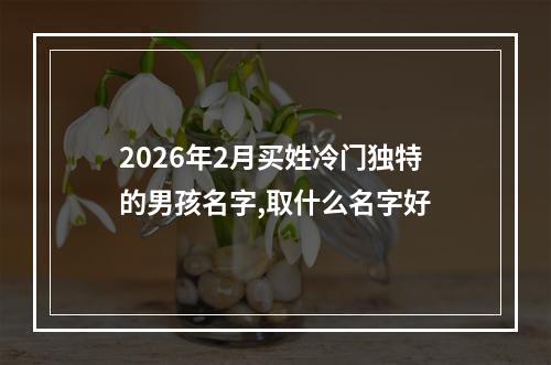 2026年2月买姓冷门独特的男孩名字,取什么名字好