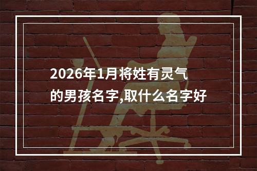 2026年1月将姓有灵气的男孩名字,取什么名字好
