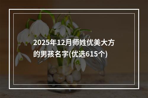 2025年12月师姓优美大方的男孩名字(优选615个)