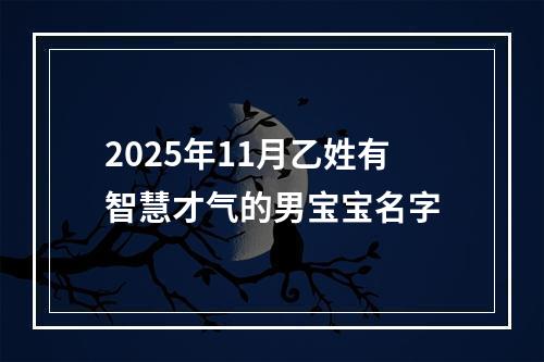 2025年11月乙姓有智慧才气的男宝宝名字