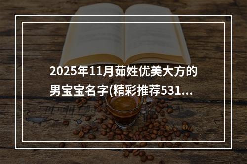 2025年11月茹姓优美大方的男宝宝名字(精彩推荐531个)