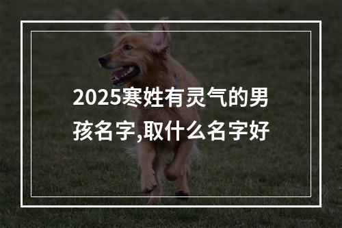 2025寒姓有灵气的男孩名字,取什么名字好