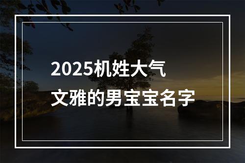 2025机姓大气文雅的男宝宝名字