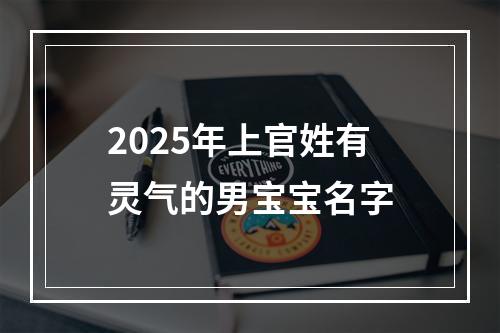 2025年上官姓有灵气的男宝宝名字