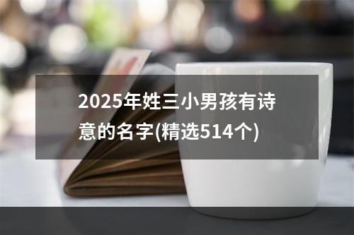 2025年姓三小男孩有诗意的名字(精选514个)