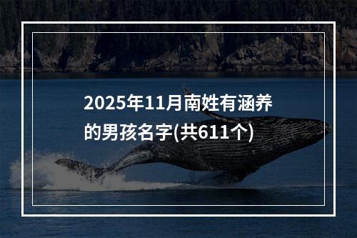 2025年11月南姓有涵养的男孩名字(共611个)