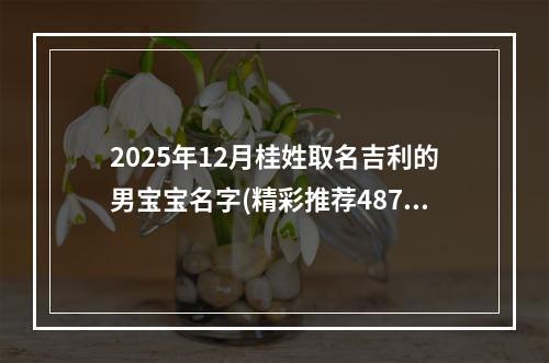 2025年12月桂姓取名吉利的男宝宝名字(精彩推荐487个)