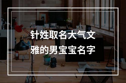 针姓取名大气文雅的男宝宝名字