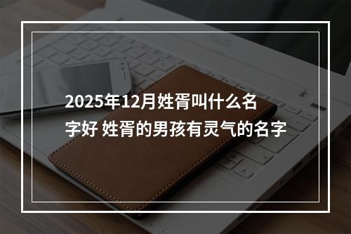 2025年12月姓胥叫什么名字好 姓胥的男孩有灵气的名字