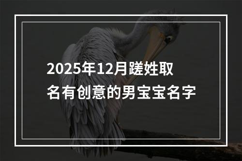 2025年12月蹉姓取名有创意的男宝宝名字