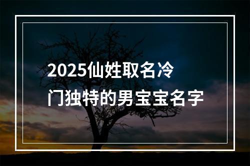 2025仙姓取名冷门独特的男宝宝名字