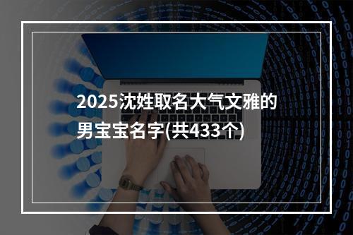 2025沈姓取名大气文雅的男宝宝名字(共433个)