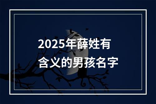 2025年薛姓有含义的男孩名字
