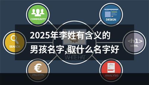 2025年李姓有含义的男孩名字,取什么名字好