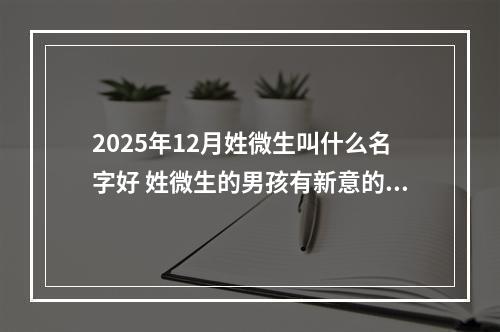2025年12月姓微生叫什么名字好 姓微生的男孩有新意的名字