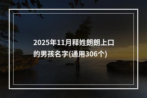 2025年11月释姓朗朗上口的男孩名字(通用306个)