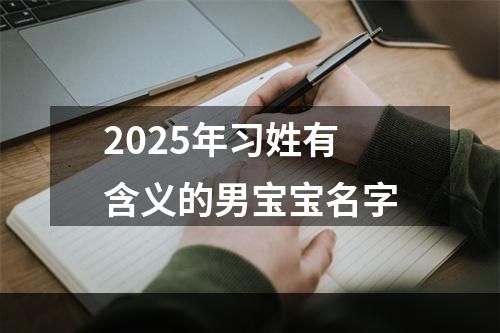 2025年习姓有含义的男宝宝名字