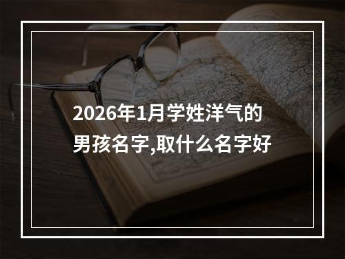 2026年1月学姓洋气的男孩名字,取什么名字好