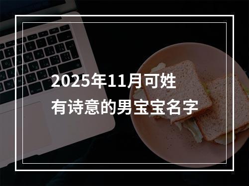2025年11月可姓有诗意的男宝宝名字