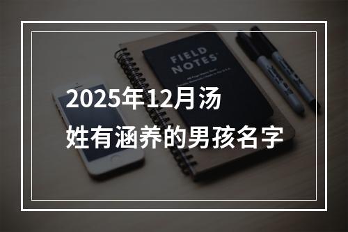2025年12月汤姓有涵养的男孩名字