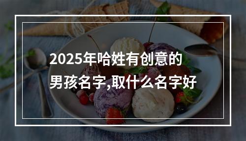 2025年哈姓有创意的男孩名字,取什么名字好