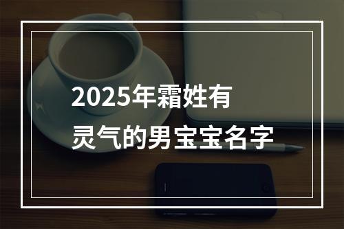 2025年霜姓有灵气的男宝宝名字