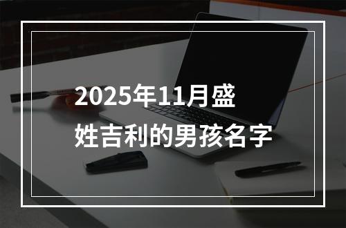2025年11月盛姓吉利的男孩名字