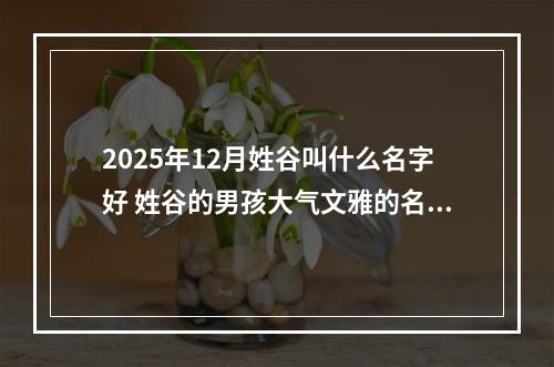 2025年12月姓谷叫什么名字好 姓谷的男孩大气文雅的名字