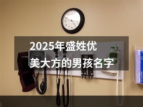 2025年盛姓优美大方的男孩名字