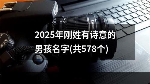 2025年刚姓有诗意的男孩名字(共578个)
