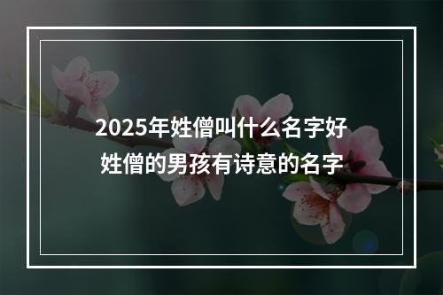 2025年姓僧叫什么名字好 姓僧的男孩有诗意的名字